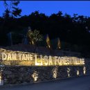 담양 리사 숲속마을 이미지