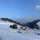 (주) 설산목장 | 12월 강원도 여행지 추천 best 3 대관령 눈 후기