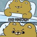 행복드림의원 | 광주일경험드림 16기 참여자, 17기 운영자 (+ 팬미팅 ssul)