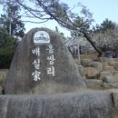 늘밤농원 이미지