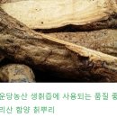 국산 생칡즙 가격, 칡즙 효과