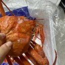 명구 | 내돈내산 명구푸드 박달자숙홍게 대게