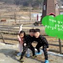 솔향기흙내음 이미지