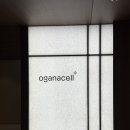 오가나셀피부과의원마곡점 네이버블로그