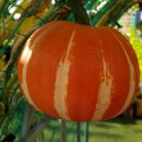 일광행정사합동사무소 이미지