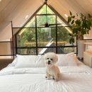 별빛강가펜션 | 홍천 반려견동반 펜션, 견주들 사이에서 &#39;성지&#39;로 불리는 이유는?