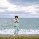 솔밭 | 경주 양남 솔밭캠핑장 후기, 아이랑 관성솔밭해변 근처 카페 추천