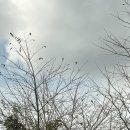 여름을 그리다 | 거제키즈카페 | 오감그리다 통영점 다녀온 리얼후기𓂃✏️