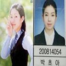 초아 카카오 검색결과