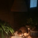 내사랑땡구 이미지