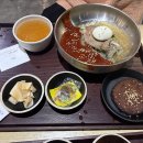 수리아 티스토리