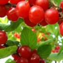 신천리슈퍼 이미지