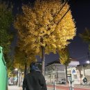동키치킨삼성점