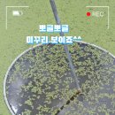 천왕봉농산 네이버블로그