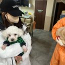 세영케미칼 이미지