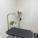 엉클독 애견유치원 이미지