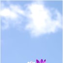 봄&봄 휘트니스 클럽 이미지