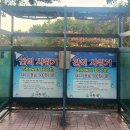 다대포해수욕장 | 부산! 가족 모두가 만족한 여행지! 다대포해수욕장 후기