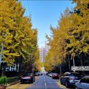 빅게임장 이미지