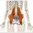세움빌딩후면 | 골반통증 바로세움 해주신 분당 &#34;바로세움&#34;에서 무릎과 어깨 통증도 바로세움! (Feat. 이용 꿀팁-주차 등)