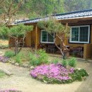 소나무황토펜션 이미지