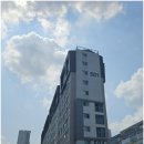 대평동_금강변길 이미지