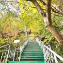 전.금강카크리닉 | 전북 완주 여행 대둔산 케이블카 타고 마천대 산행 후기 단풍 현황