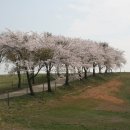 해미농장 이미지