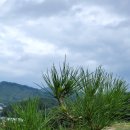 국보농장 이미지