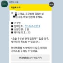 코코유통 | 코코밥 더현대 팝업 매장 코코데이 신제품 후기🍫 | 초코 단백질쉐이크 원탑