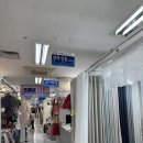 세림커텐사 | [대구 커튼 추천/내돈내산] 서문시장 가성비 신혼집 커튼 추천, 세림커튼