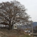 병곡보건지소 이미지