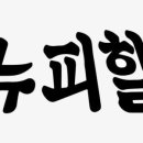 뉴피할가죽공예 이미지