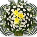 삼성여고 앞 1 이미지