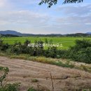 대서면사무소 이미지