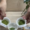 티클래스(나를 위한 차~) | [내돈내산] 전주 원데이 티클래스 ‘차올’ 우지 말차 클래스 체험 후기