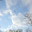 성의떡방앗간 | 11월 일기