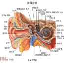 경락마사지 이미지