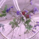 사랑문구 이미지