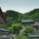 상촌새말길 이미지