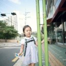 매리매리 쫑쫑 이미지