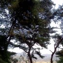 가창중학교 이미지