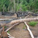 전의농장 이미지