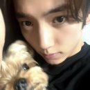 구스범스 이미지