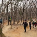 동지크린 이미지