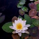 도호농장 이미지