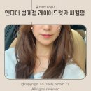 하이스테이안양140 | 안양 평촌미용실 엔디어 범계점에서 고급스러운 하이레이어드펌 후기