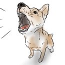 24시마음든든동물병원 이미지