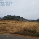 GB부동산공인중개사사무소 이미지