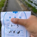 표선동물병원